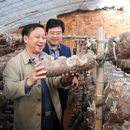automatic mushroom bagging machine (4)