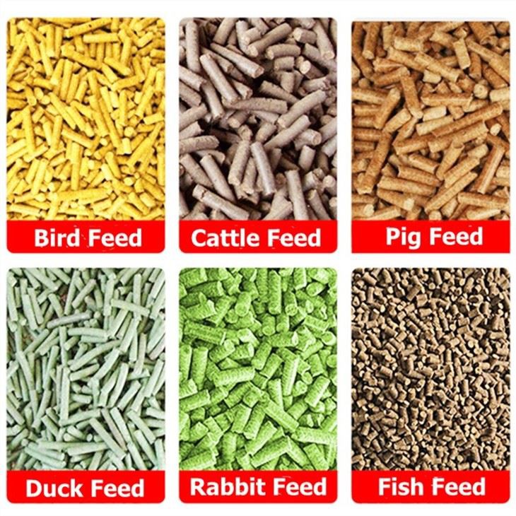 Poultry Feed Pellet Machine