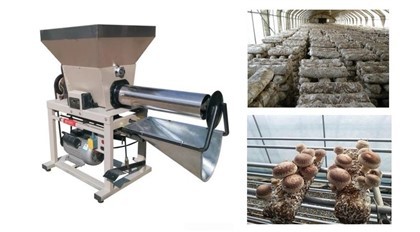 Günstige Pilzverpackungsmaschine
