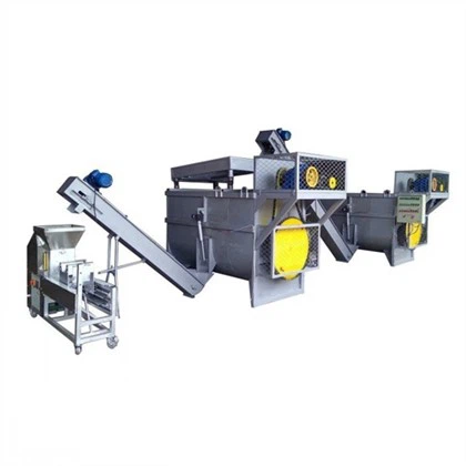Automatische Verpackungsanlage für Mandelpilze