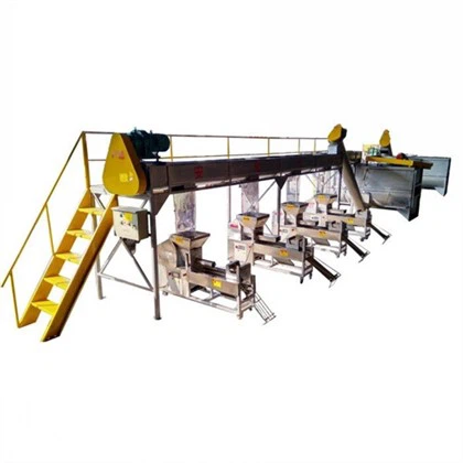 Automatische Verpackungsmaschine für essbare Pilze